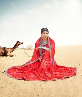 Shaily Red Printed Chiffon Saree With Blouse 2