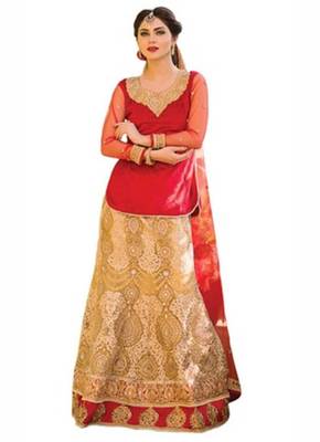 Red Embroidered Velvet  Lehenga-Choli 1