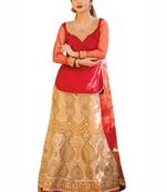 Red Embroidered Velvet  Lehenga-Choli