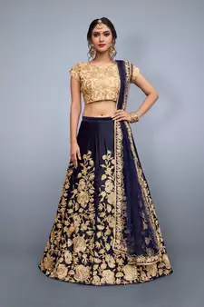 Navy-Blue Embroidered Velvet Semi Stitched Lehenga With Dupatta