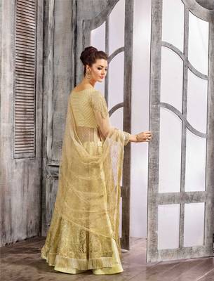 Beige embroidered net salwar with dupatta 2