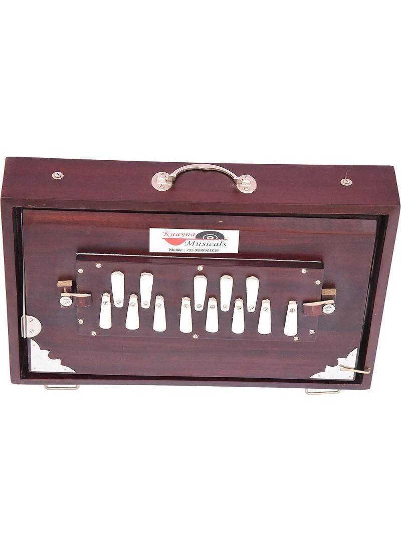 Shruti Box, Teak Wood, Size (15 X 10 X 3), Tuning-440 Hz Sur