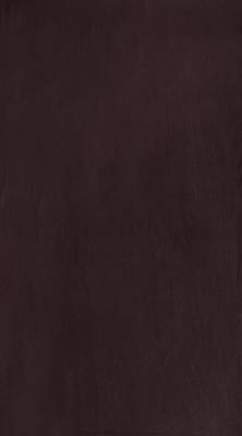 Fabzi Brown Printed Polyester Window Curtains Set Of 2 Pieces (Width 4 Ft X Length 5 Feet) 2