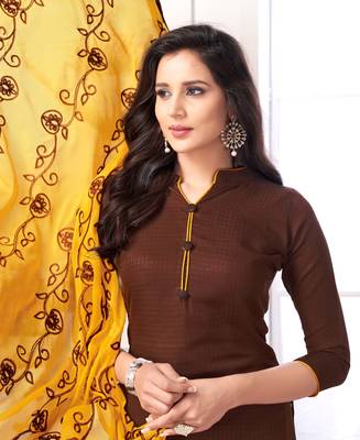 Brown embroidered cotton salwar with dupatta 2