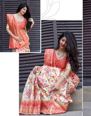 Multicolor woven banarasi saree with blouse 2