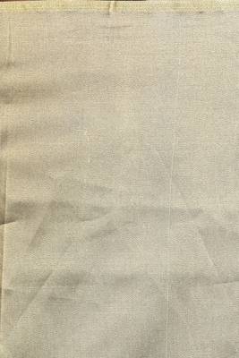 Beige hand woven tissue saree with blouse 3