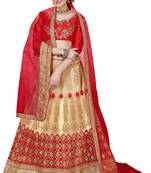 Beige Embroidered Net Semi Stitched Lehenga With Dupatta