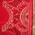 RED embroidered GEORGETTE saree with blouse