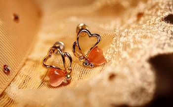 Butterfly Wings Studs 1