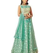 Green Color Tissue Designer Semi  Stitched Lehenga Choli