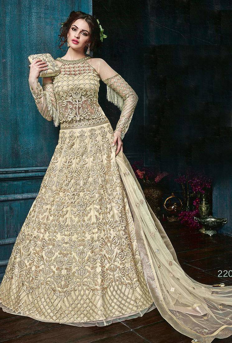 Beige Embroidered Net Dupatta With Sequinned main image 1