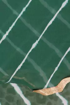 Green Lahariya Dupatta