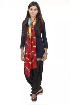 Multicolor Lahariya Dupatta