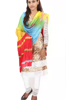 Multicolor Lahariya Dupatta