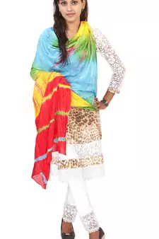 Multicolor Lahariya Dupatta
