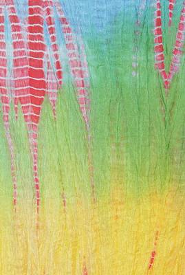 Multicolor Lahariya Dupatta 4
