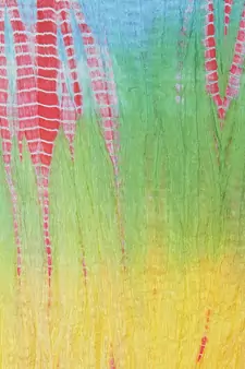 Multicolor Lahariya Dupatta