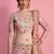 Glamorous Baby Pink Resham, Zari, Sequins, and Dori Embroidered Art Silk Fabric Indian Bollywood Lehenga Dress