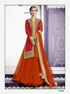 Orange Embroidered Net Indo Western Lehenga 1