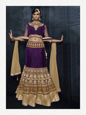Purple Color Stunning Velvet Lehenga Choli 1