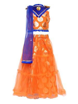 Orange Printed Net Stitched Lehenga 1