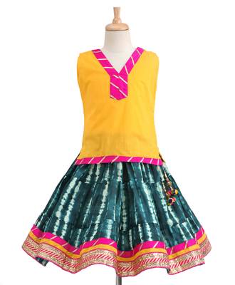 Blue Printed Cotton Stitched Lehenga 3