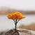 Multicolor Assorted Realistic Garden Toy Tree Showpiece Set Of 6