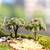 Multicolor Assorted Realistic Garden Toy Tree Showpiece Set Of 6