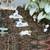 White Toy Snow Sheep Garden Decor Showpiece Set Of 12