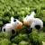 White Toy Cow Showpiece For Your Garden Trays And Pots Set Of 12