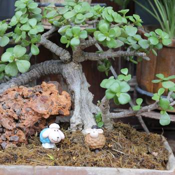 Lamb & Sheep Garden Toy Decor Showpiece Set Of 10 2