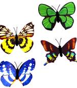 Multicolor Designer Butterfly Garden Toy With Magnet Set Of 20