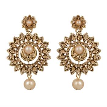 Brown Earrings 1