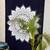 indian Tab top curtain Mandala curtains, 1 Panel Set Mandala Curtain Tab top Tapestry, Drapes & Valances, Window Curtain