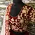 Enchanting Maroon Dori, Badla & Sequins Embroidered Semi Velvet Lehenga Choli for bride
