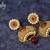 Royalty Pearls studded Polki Earrings