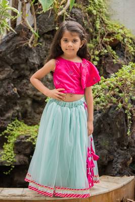 Sky Blue Embroidered Net Stitched Lehenga 1
