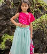 Sky Blue Embroidered Net Stitched Lehenga