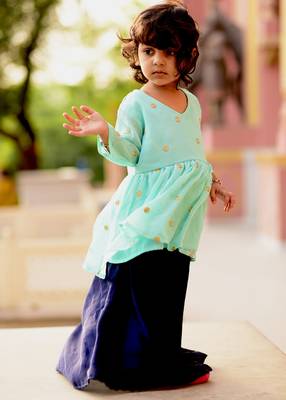 Blue Embroidered Crepe Stitched Lehenga 1
