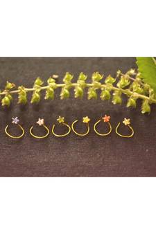 Designer 6 Star Colourful Nose Pin Combo Set Nose Ring