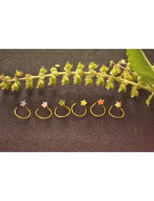 Designer 6 Star Colourful Nose Pin Combo Set Nose Ring 1
