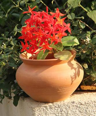 Natural Colored Made Of Teracotta Clay Handicrafts Gifts Wall Corners Pot 2