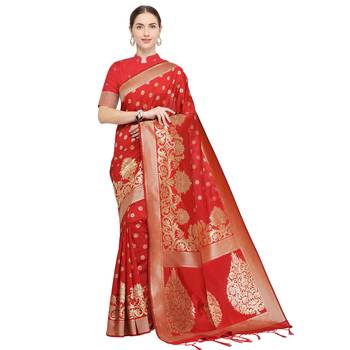 Red woven cotton silk saree with blouse 1