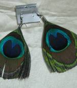 Peacock feather earrings
