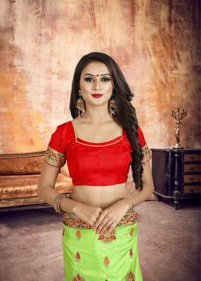 Light green embroidered silk saree with blouse 4