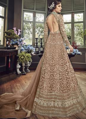 Beige Embroidered Net Salwar With Dupatta 2