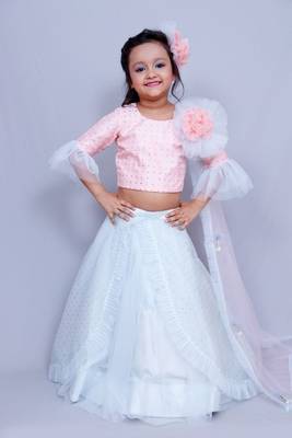 Light blue embroidered organza stitched lehenga 1