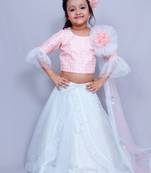 Light blue embroidered organza stitched lehenga