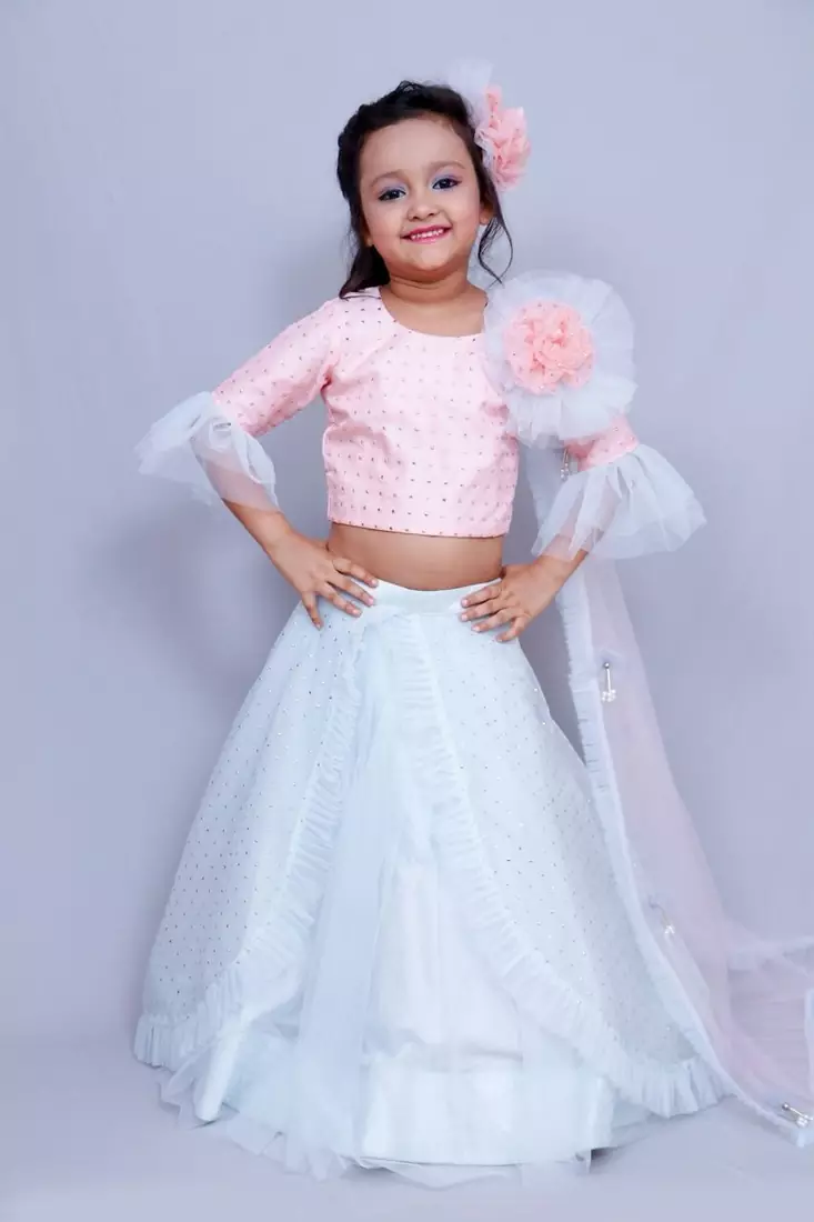 Light blue embroidered organza stitched lehenga