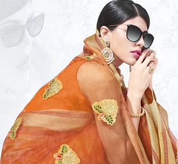Brown embroidered tissue saree with blouse 3